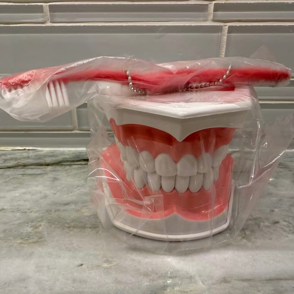 Colgate Large Teeth Educational Model with Brush unopened - Picture 1 of 5